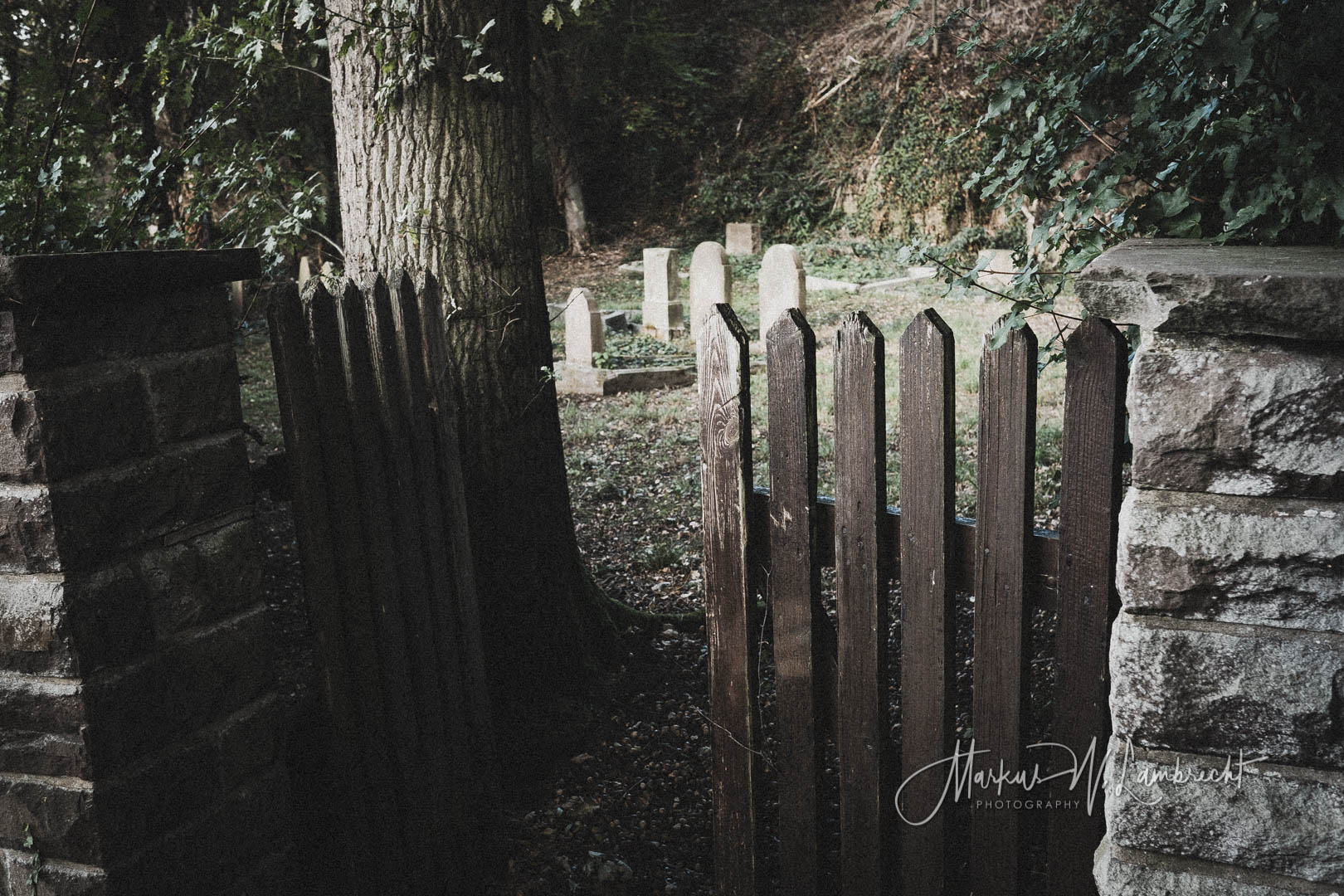 Lauenförde, Jüdischer Friedhof